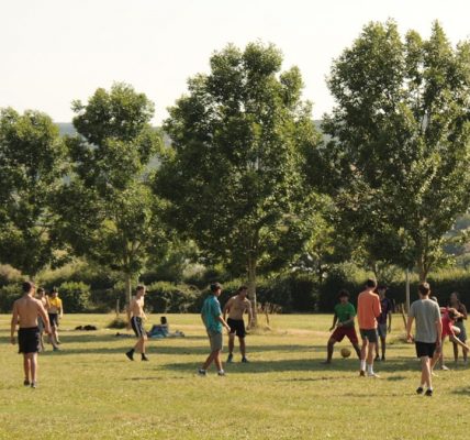 a group of people standing on top of a lush green field